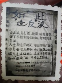六十年代老照片1张，6X5厘米
