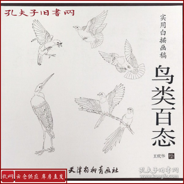 实用白描画稿：鸟类百态