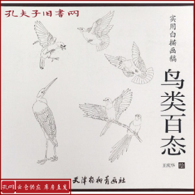 实用白描画稿：鸟类百态