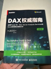 DAX权威指南：运用Power BI、SQL Server Analysis Services和Excel实现商业智能分析（第2版）
