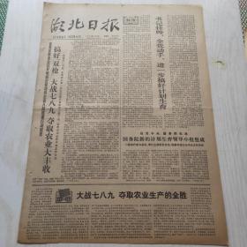 湖北日报 1978年7月9日（1-4版）搞好双抢大战七八九夺取农业大丰收，经党中央国务院批准国务院新的计划生育领导小组组成，春雨之歌——记北京市通县一中班主任刘纯朴同志，夜探老虎洞（楚奇）