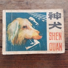 神犬   连珏画