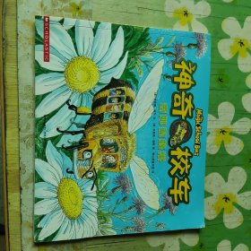 奇妙的蜂巢