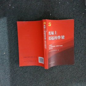 废墟上挺起的脊梁：抗震救灾先进基层党组织、优秀共产党员事迹汇编 中共中央组织部组织局 中共中央组织部组织局 9787800989919 党建读物出版社