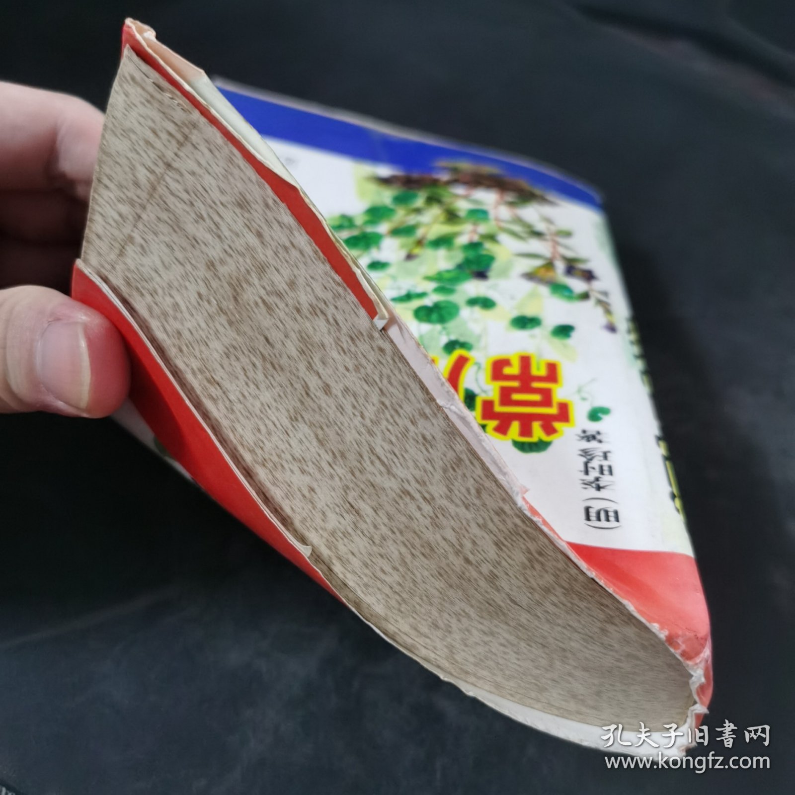 民间常用中草药