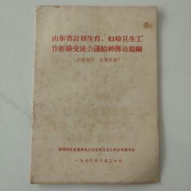 山东省计划生育、妇幼卫生工作经验交流会议精神传达提纲