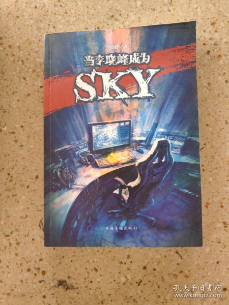 当李晓峰成为SKY