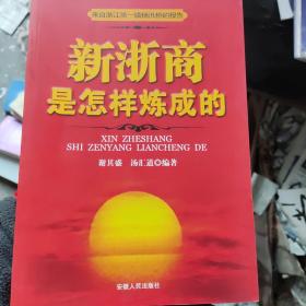 新浙商是怎样炼成的:来自浙江第一镇杨汛桥的报告