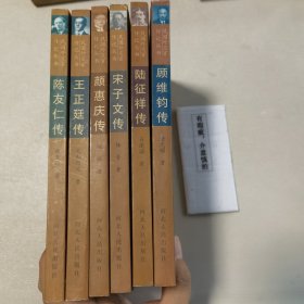 民国外交官传记丛书（顾维钧传、陆征祥传、宋子文传、颜惠庆传、王正廷传、陈友仁传）（6本合售）