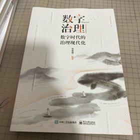 数字治理：数字时代的治理现代化