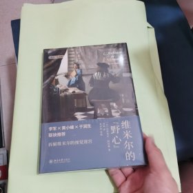 维米尔的野心 中央美术学院李军、黄小峰、于润生联袂推荐，拆解维米尔的视觉迷宫