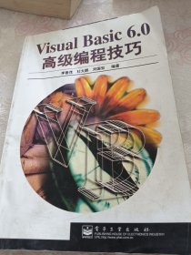 Visual Basic 6.0高級編程技巧