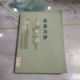 青春万岁