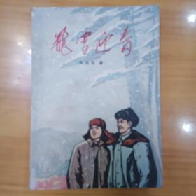 飞雪迎春