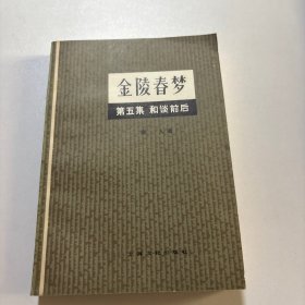 金陵春梦 第五集