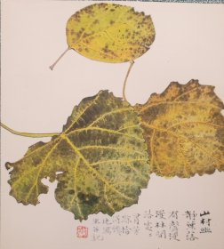 北京师大陈翰致田虎贺卡