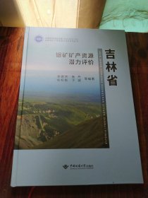 吉林省银矿矿产资源潜力评价