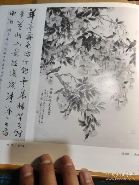 画页（散页印刷品）---书法----秋塬野兔【黎葛民】、忆江南【李筱孙】、荔枝图【段吉璋】、行草条幅黄子厚1197