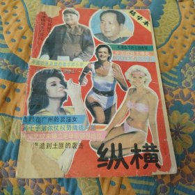 纵横精华本1991年11月