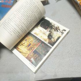 画说西藏两部--抚摸隐秘岁月、生命长廊的神韵