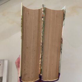 金瓶梅词话(上,下)