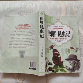 图解昆虫记（全彩）