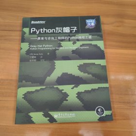 Python灰帽子：黑客与逆向工程师的Python编程之道