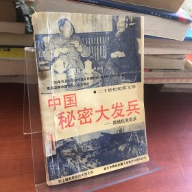 中国秘密大发兵