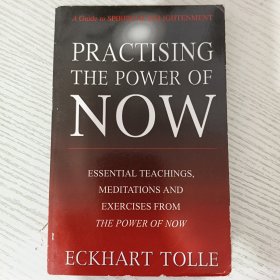 Practicing the Power of Now: Essential Teachings, Meditations, and Exercises From The Power of Now