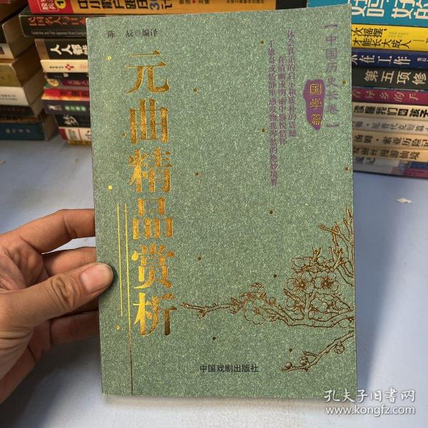 宋词精品赏析/中国历史长卷(国学篇)