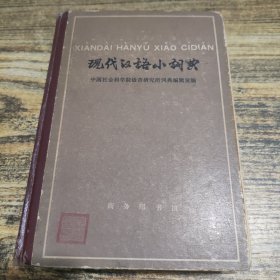 现代汉语小词典
