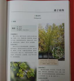 南京大学校园植物