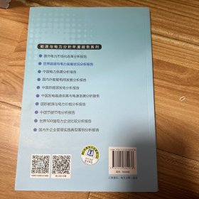 能源与电力分析年度报告系列2015 世界能源与电力发展状况分析报告