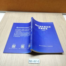 湖北省民营经济发展报告 2020
