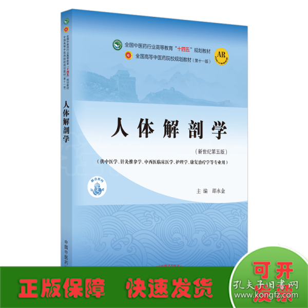 人体解剖学·全国中医药行业高等教育“十四五”规划教材