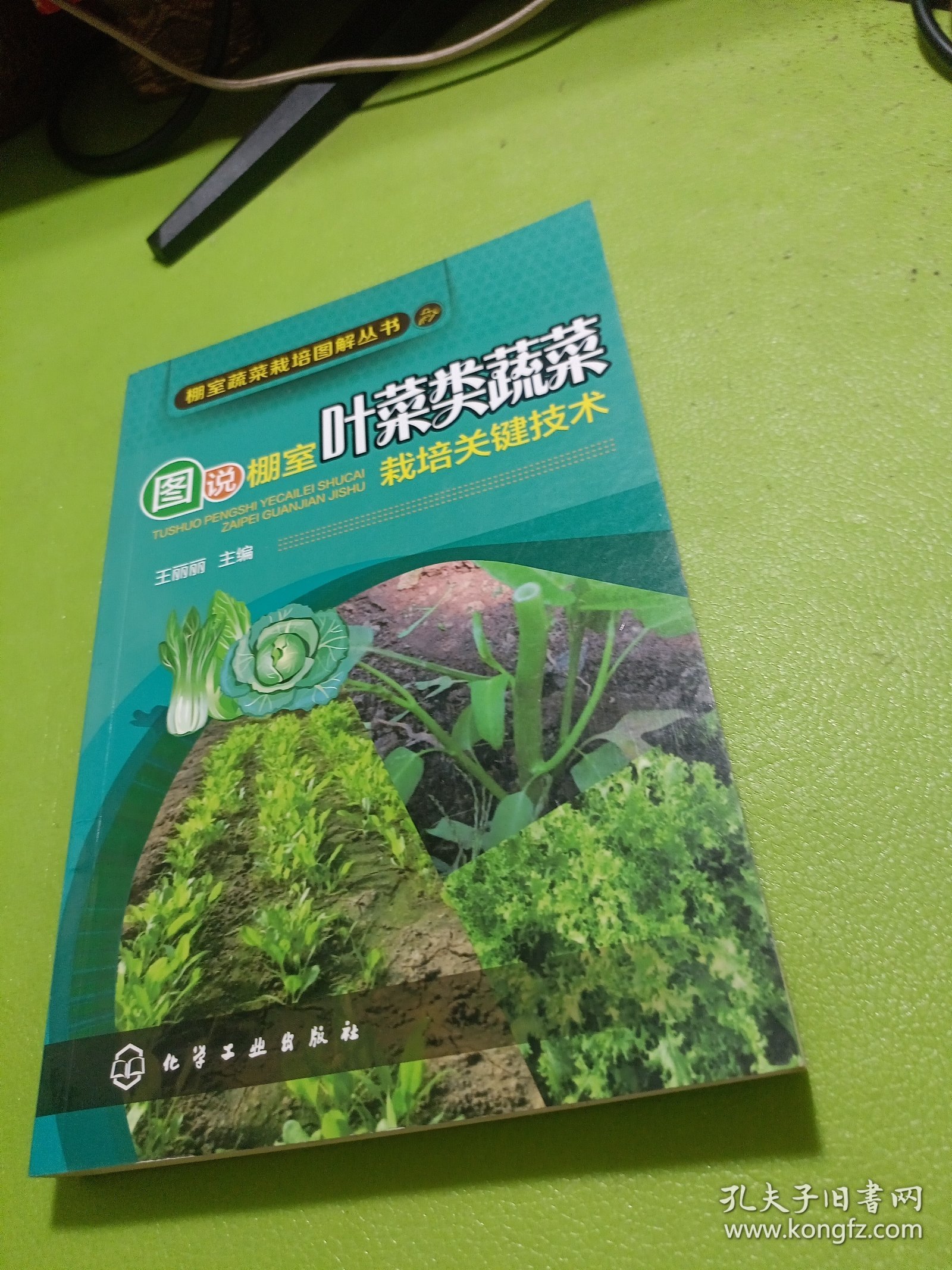 棚室蔬菜栽培图解丛书 图说棚室叶菜类蔬菜栽培关键技术 如图现货速发