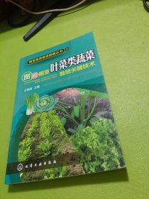 棚室蔬菜栽培图解丛书 图说棚室叶菜类蔬菜栽培关键技术 如图现货速发