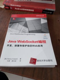 Java WebSocket编程 开发、部署和保护动态Web应用