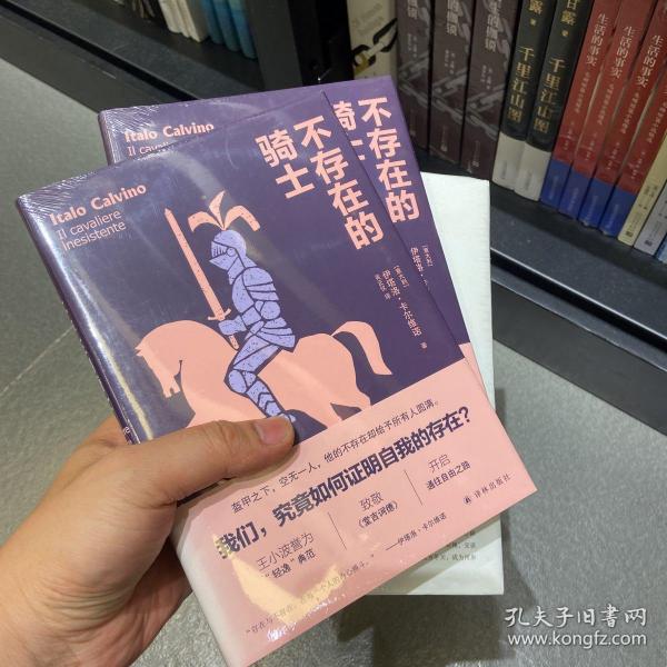 卡尔维诺经典精选作品：不存在的骑士