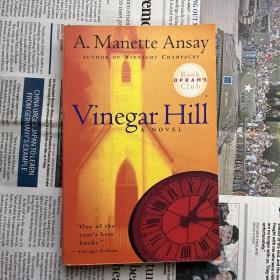 Vinegar Hill（醋山）