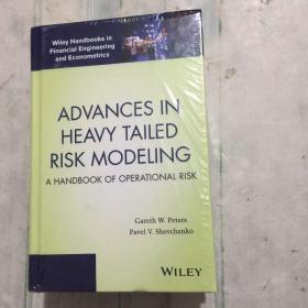 ADVANCES IN HEAVY TAILED RISK MODELING 重尾风险建模进展、 FUNDAMENTAL ASPECTS OF OPERATIONAL RISK AND INSURANCE ANALYTICS 运营风险和保险分析的基本方面