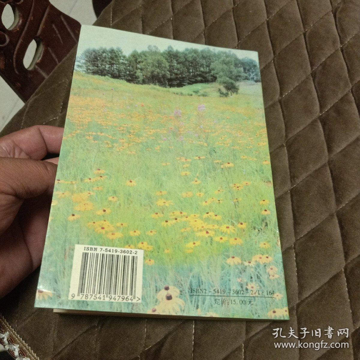 雾里看花（作家赵新贵签名赠送本）