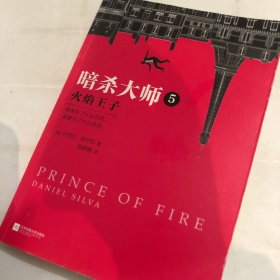 暗杀大师5：火焰王子