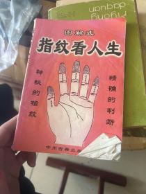 图解式指纹看人生