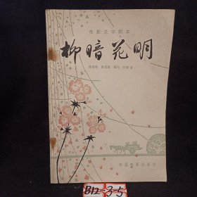 柳暗花明