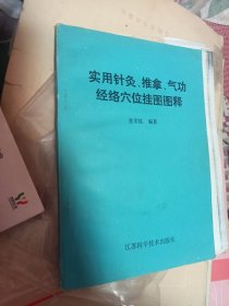 实用针灸 推拿 气功 经络穴位挂图图释