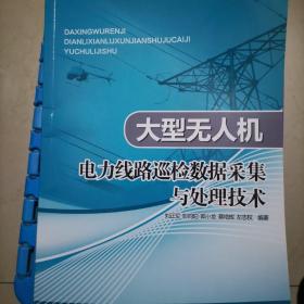 大型无人机电力线路巡检数据采集与处理技术