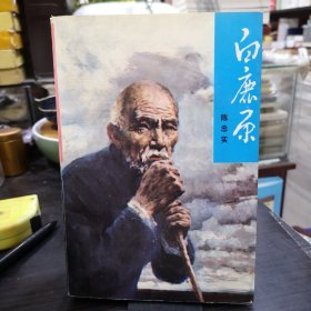 白鹿原。私藏品好如图，【1993年北京1版98年北京11印】。一厚册