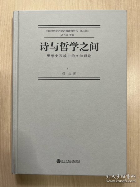 诗与哲学之间 : 思想史视域中的文学理论 （无书衣，内容干净整洁，无笔记）