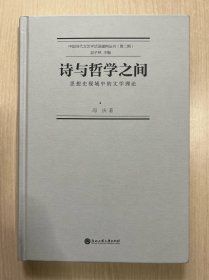 诗与哲学之间 : 思想史视域中的文学理论 （无书衣，内容干净整洁，无笔记）